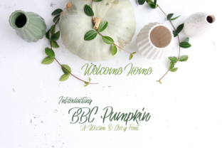 BBC Pumpkin: A Designer's Real-World Review