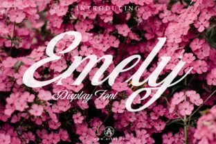 Emely: A Friendly Script Font for Editorial Design
