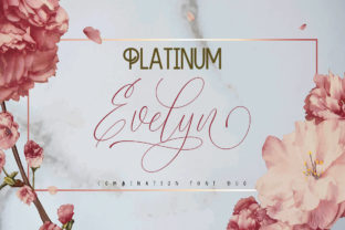 Platinum Evelyn Duo: A Premium Script Font for Web Design